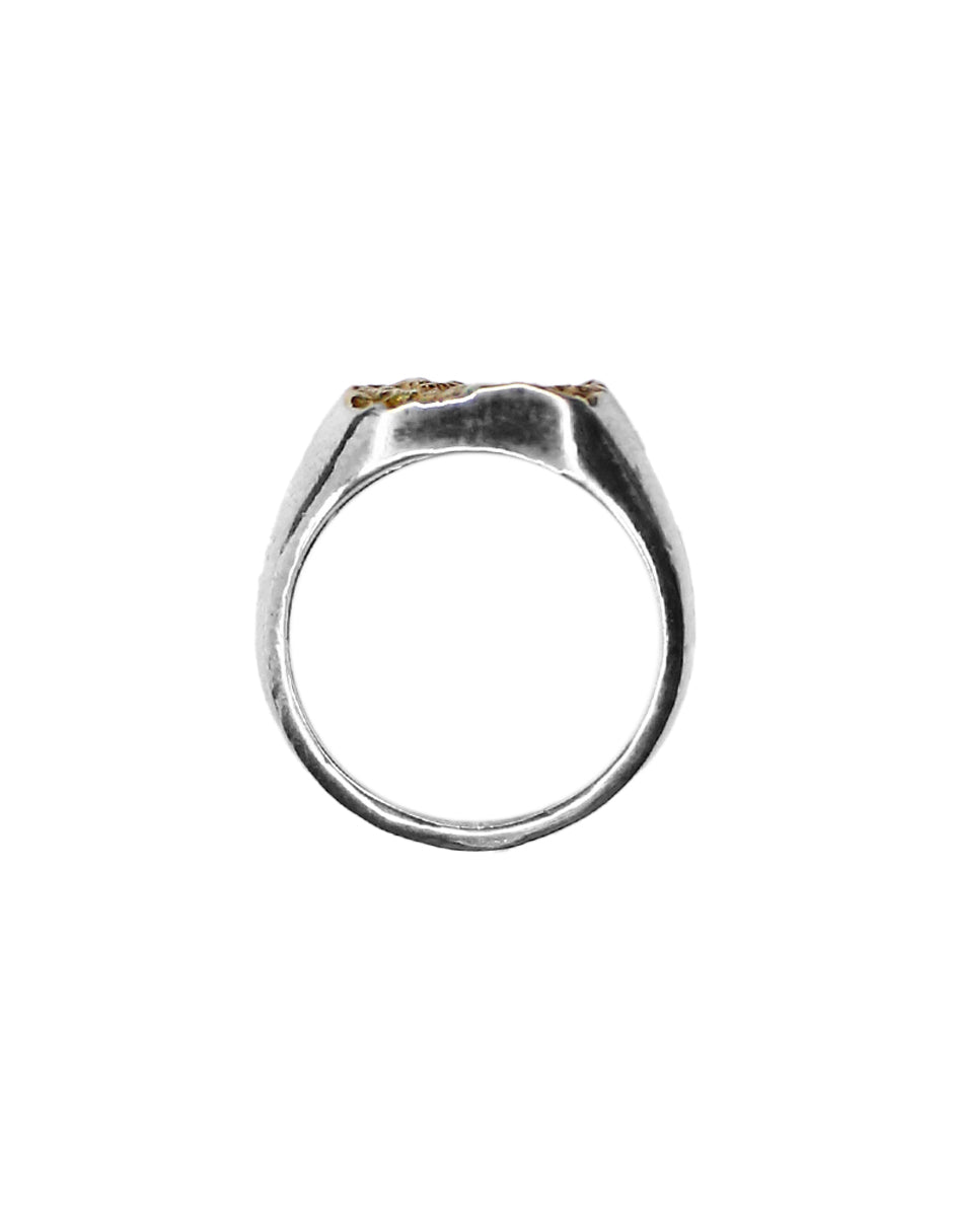 Anillo Earth elaborado en plata