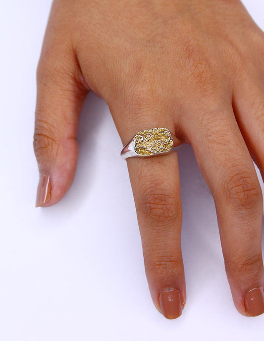 Anillo Earth elaborado en plata