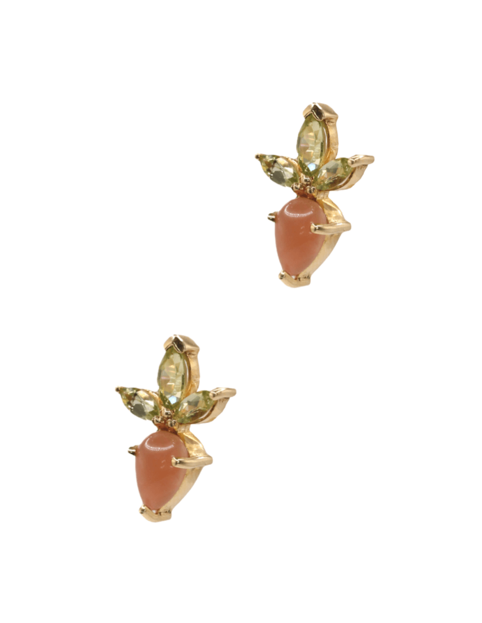Aretes Zanahoria