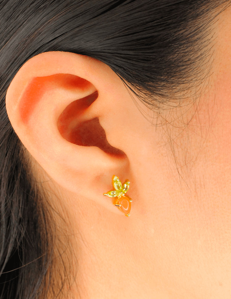 Aretes Zanahoria