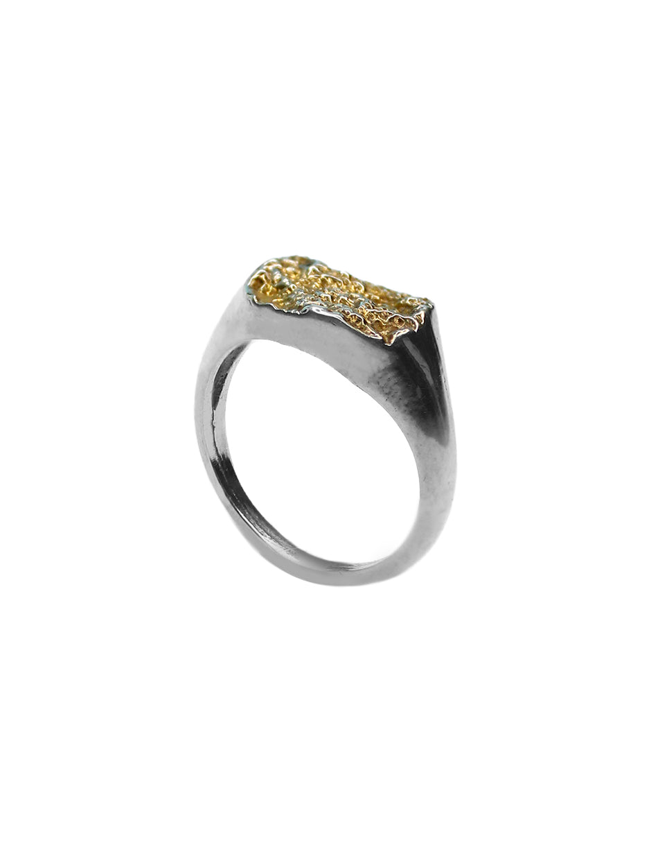 Anillo Earth elaborado en plata 