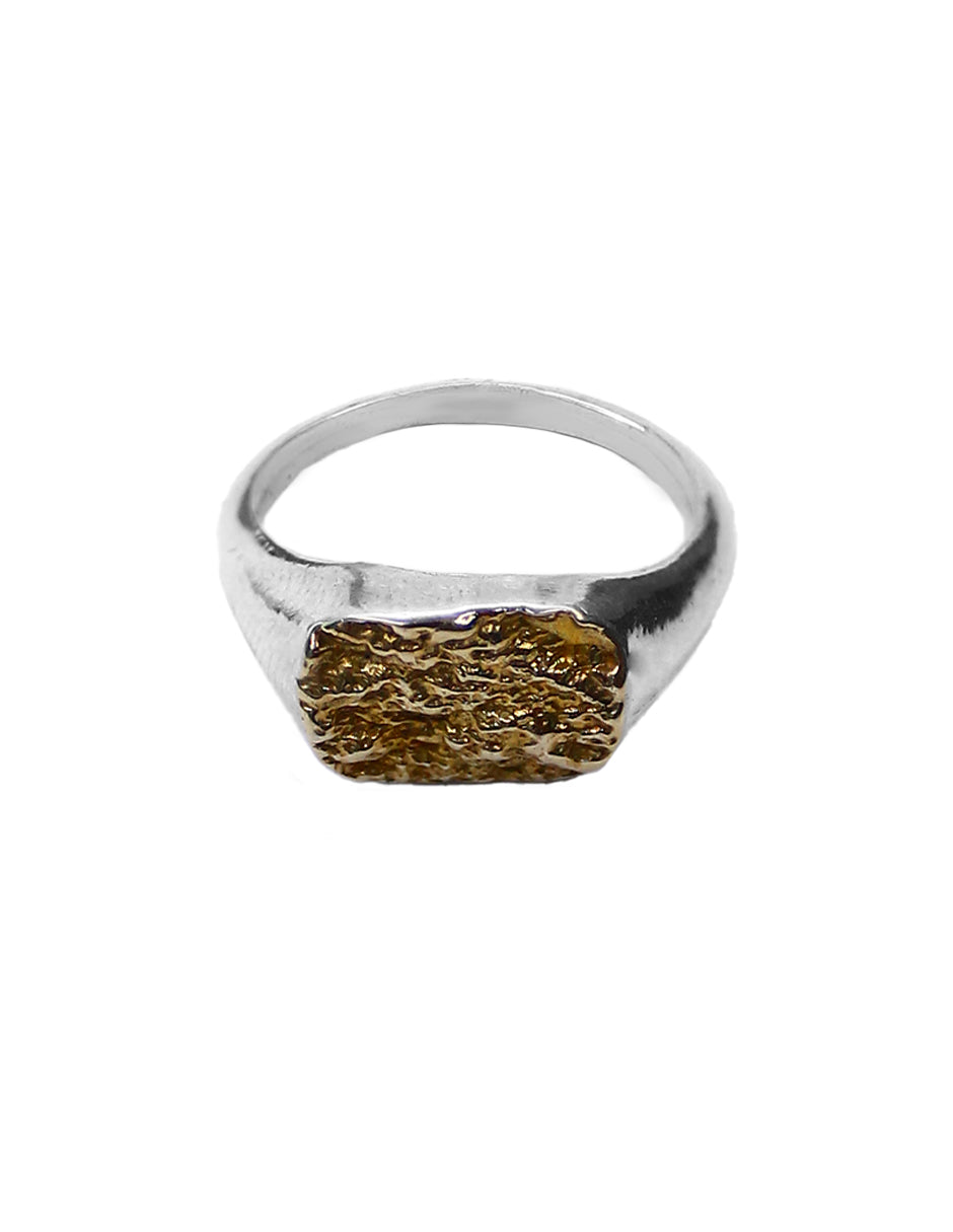 Anillo Earth elaborado en plata 